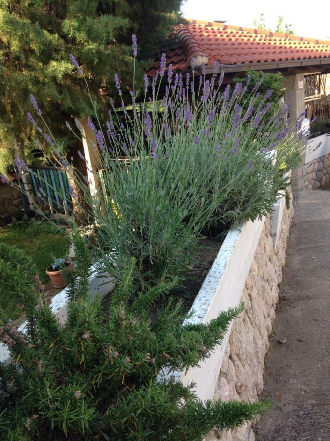 Sanmari Otel Novi Vinodolski Dış mekan fotoğraf